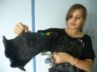 Witches hat tea cozy